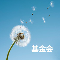 专题：基金会